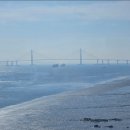 구읍뱃터 이미지