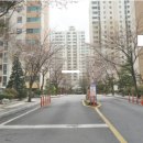 달빛마을 이미지