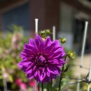 세븐일레븐 주안점 이미지