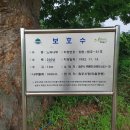 세포마을 이미지