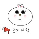 용인대 화랑 태권도 이미지