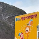 [파인애플팜] 초보농부/ 청송사과유통센터 / 농업기술센터 / 청송군 농업인대학 입학식