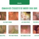 도촌동물병원 네이버블로그