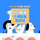 건강하게동물병원 이미지