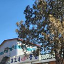 고모네 - 제주시 연동10길 4 | 고모네