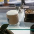 아리따울나 네이버블로그