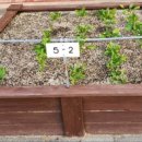 평택중앙초등학교 이미지