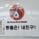 보경 동물병원 이미지