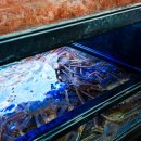 해운대로 428 이미지