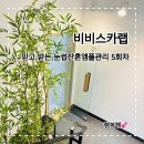 강남25시편의점 | 믿고 받는 강남눈썹앰플관리 비비스카랩 5회차