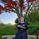 73)11월의 마음 이미지