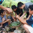 감자서리 이미지