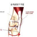 구피동물병원 이미지