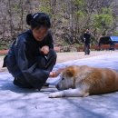 선녀와 강아지 이미지