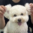 배추야놀자
