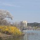 보문호반길 이미지