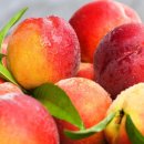 미라클요양병원 이미지