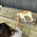 이마트24 베이타워송정점 이미지