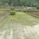 제천고추시장 이미지