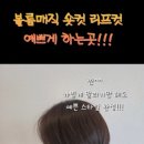 이가자헤어서비스 이미지