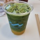 에비뉴(AVENUE) | 이펑락사(YeeFung Laksa),말차 스튜디오 수트라 에비뉴(Matcha Studio Sutera Avenue) 내돈내산 솔직 후기