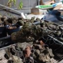 석부농장 이미지