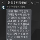분당우리동물의료센터 이미지