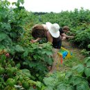 심지농장 이미지