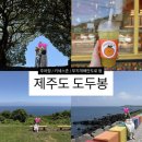 탠저비 - 5675 | 제주도 도두봉 방문 후기 - 제주공항 근처 놀거리, 주차장, 탠저비 카페, 키세스존, 소요시간, 무지개...