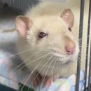 원주장례식장 이미지