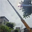 발이봉북로 네이버블로그