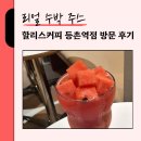 넓고 쾌적한 할리스커피 등촌역점 방문 후기