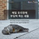 새들농장 이미지