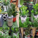 강릉원예사 이미지