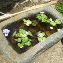 산과들과바다와함께 이미지