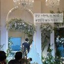 서현로180번길 | [분당 웨딩홀] 서현역 "더 메리든" 결혼식 하객후기ㅣ분위기, 식사 상세리뷰! 🌸🤍