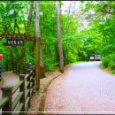 청죽 제345차(2025. 8. 17) 치악산 구룡계곡 버스 좌석 배치도 이미지