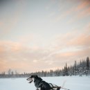 현대동물의료센터 이미지