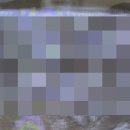 인천사랑니구강악안면외과치과의원 이미지