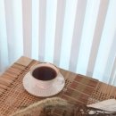스텔라홈 네이버블로그
