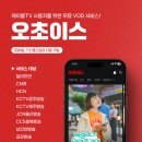 오초이스