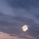 돌고래마루민박펜션 이미지