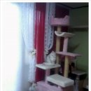 까칠이돼지 이미지