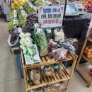엠마트(M마트)