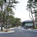 대왕암공원 캠핑장 이미지