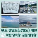 약산면-2 | 완도 평일도(금일도) 들어가는법 &lt;약산 당목항 - 금일도 일정항&gt; 완농페리3호 가격, 시간표