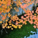 동원 당구장 이미지