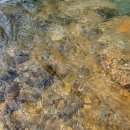 적성 설마천로 단풍나무길 | 파주계곡카페,서울근교계곡,파주계곡추천,경기도계곡카페,서울근교당일치기,온오프카페