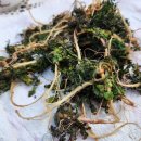 호진농장 이미지