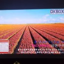 하이비젼DVD